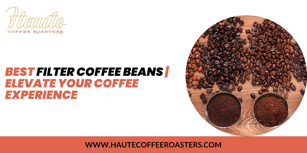 Best Filter Coffee Beans | Elevate Your Coffee Experience