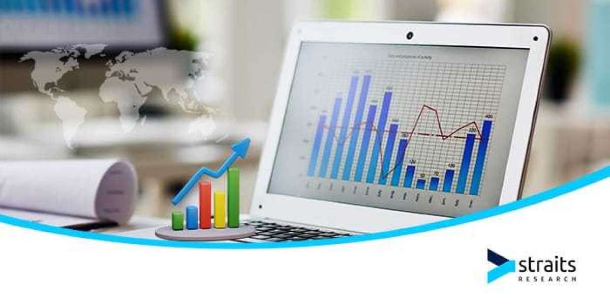 Digital Storage Oscilloscope Market: Projected Growth and Key Insights