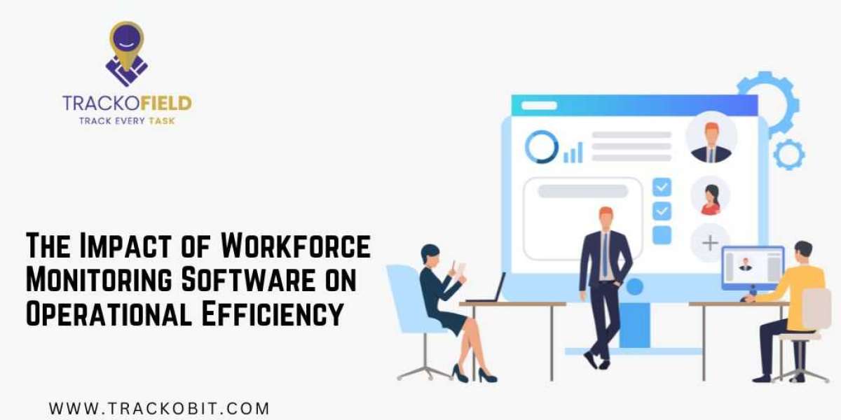 The Impact of Workforce Monitoring Software on Operational Efficiency