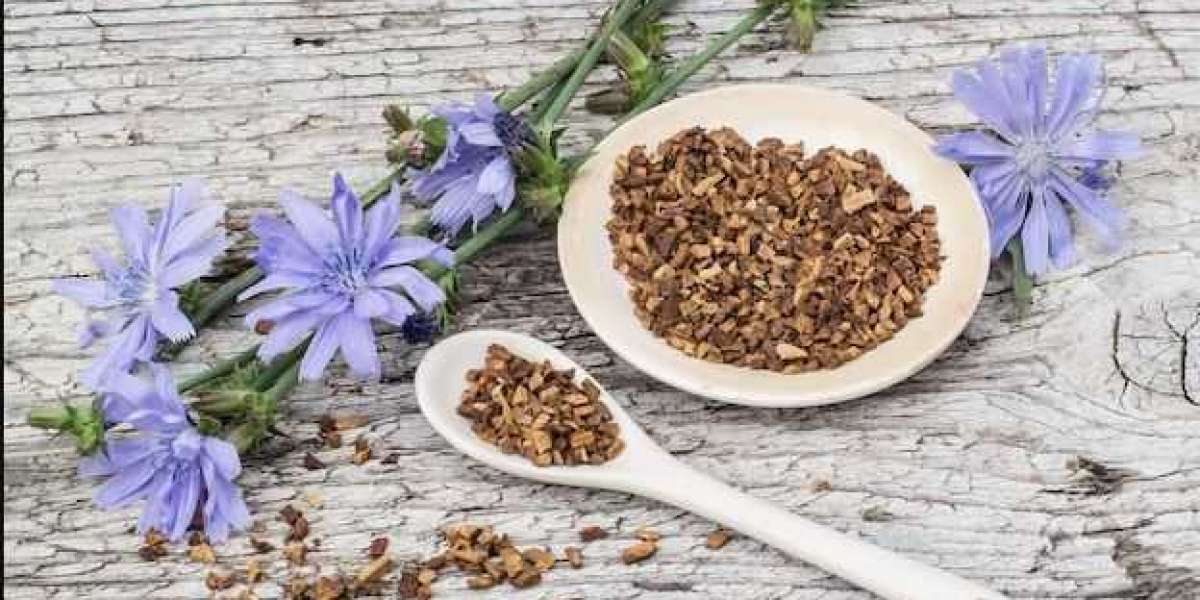 Inulin Market is Expected To Grow at a CAGR of 5.97% by 2033