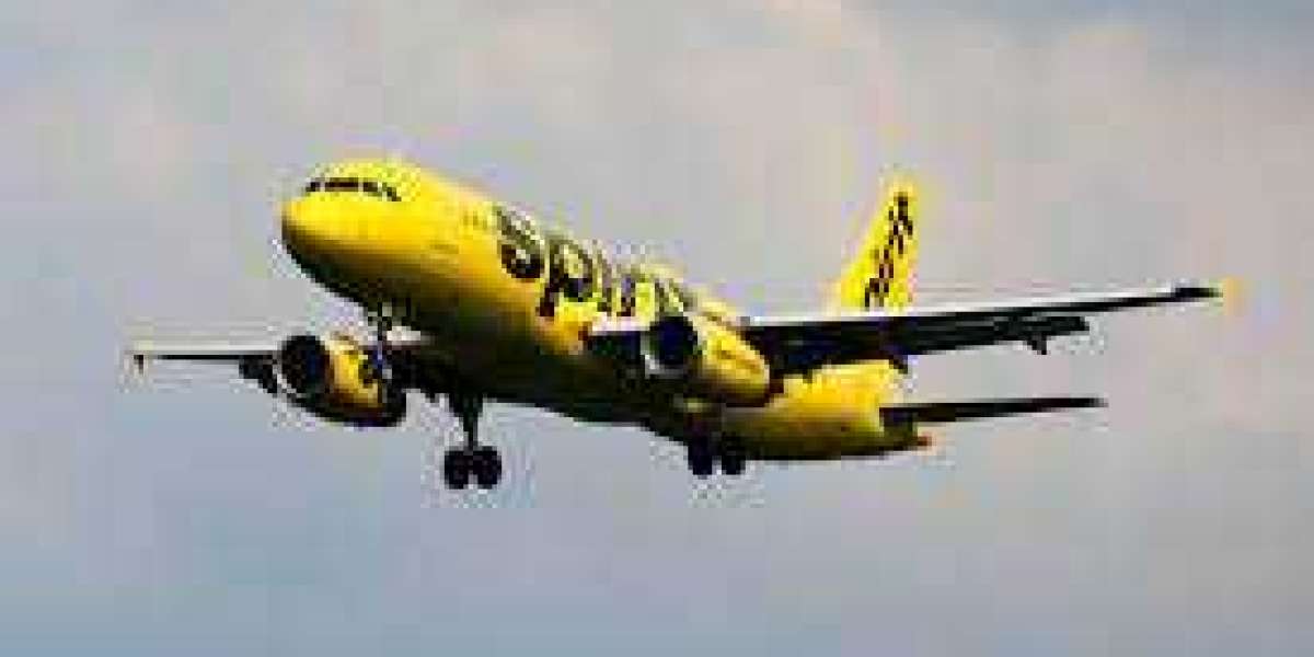 How Do I Book Cheap Flights With Spirit Airlines Low Price Calendar?