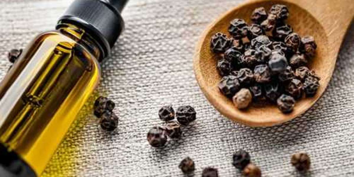 Essential Steps for Establishing a Black Pepper Oil Production Plant