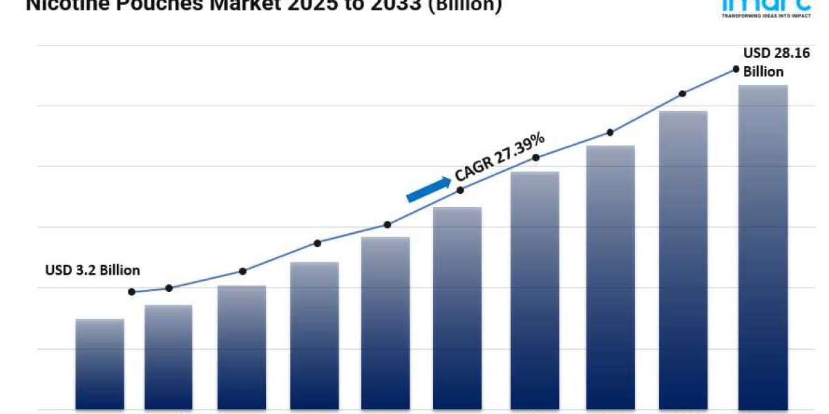 Nicotine Pouches Market Size, Trends, Industry Insights and Forecast 2025-2033