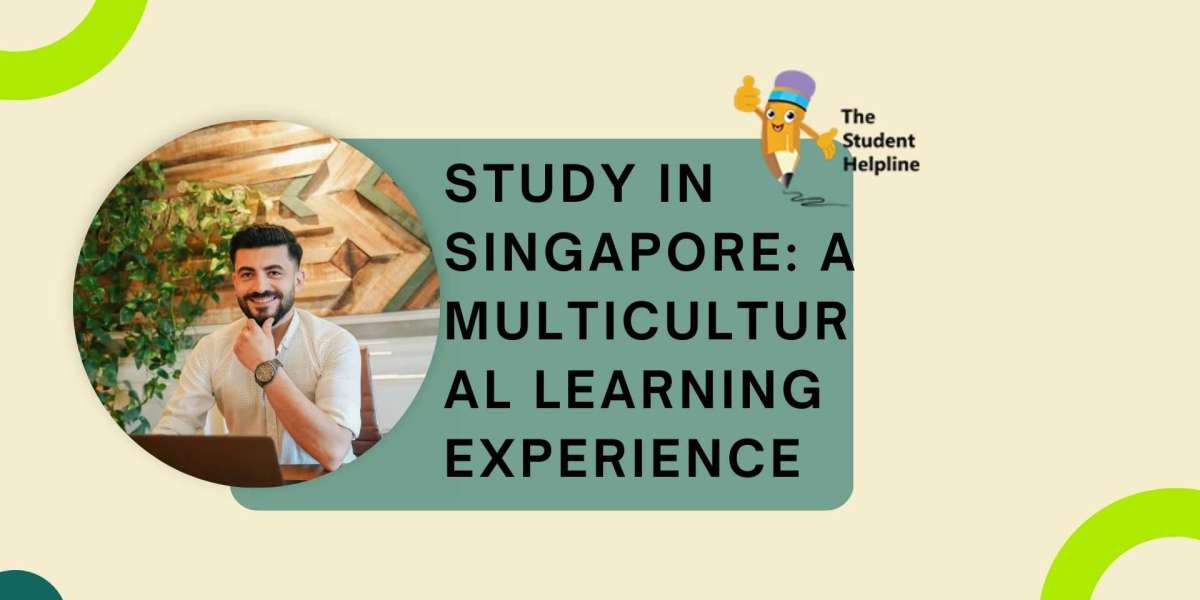 Study in Singapore: A Multicultural Learning Experience