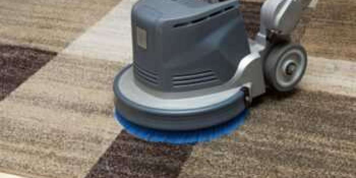 Elevate Your Home’s Comfort with Professional Carpet Cleaning Services