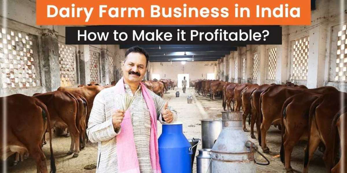 How to Begin with a Dairy Farming Business?