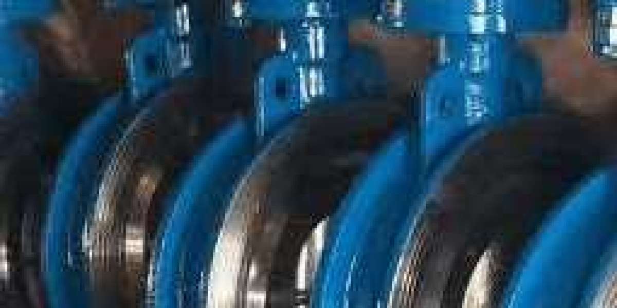 Triple eccentric butterfly valve in Iraq