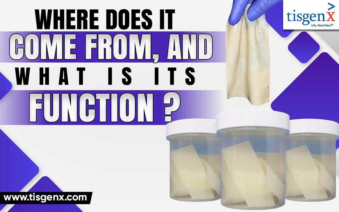 Where Does It Come From, And What Is Its Function? – Tisgenx, Inc