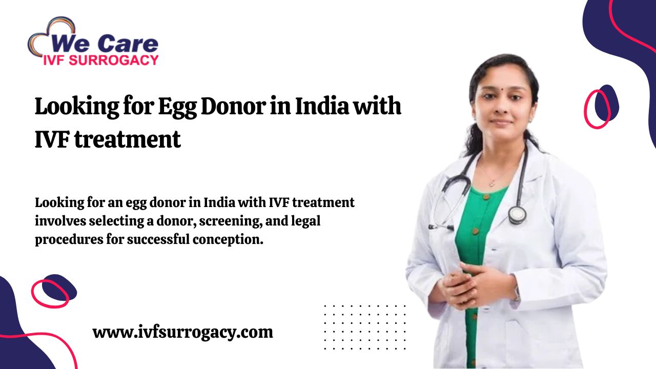 Egg Donor in India 2025 - Get The Procedure Donor Profiles