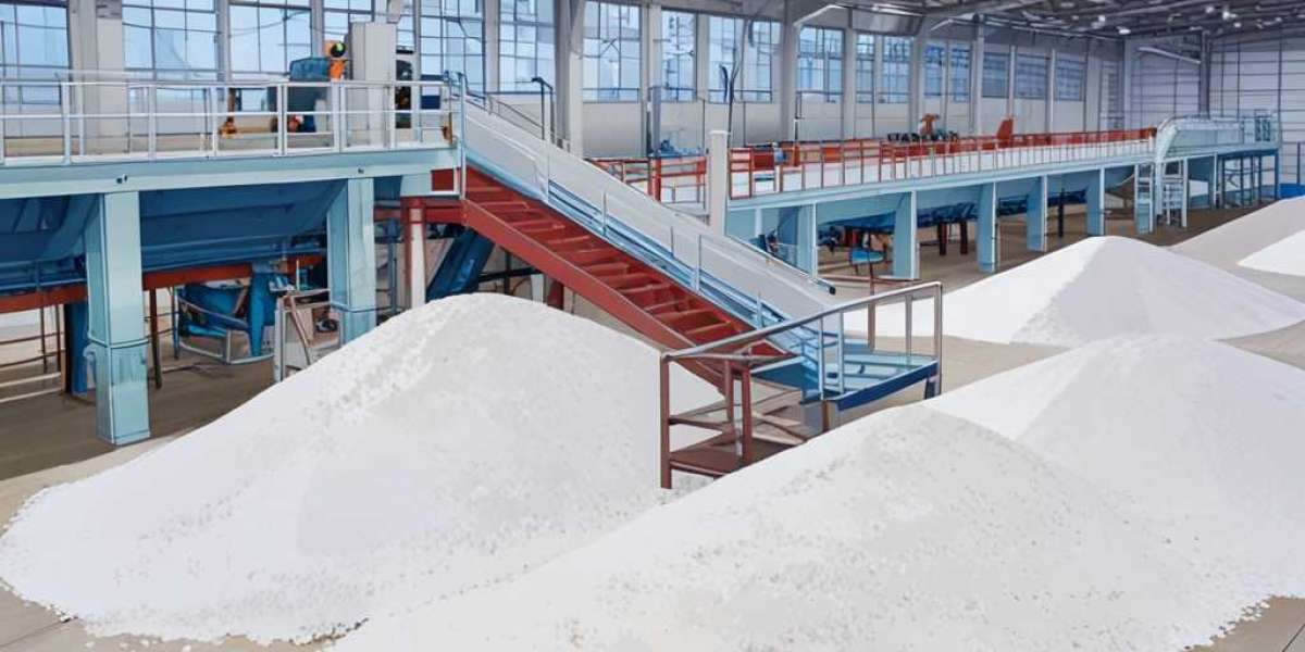 Table Salt Manufacturing Plant Project Report 2025: Cost Analysis and Raw Material Requirements