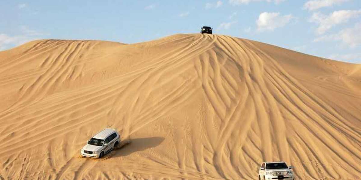 8 Best Activities to Experience in Abu Dhabi