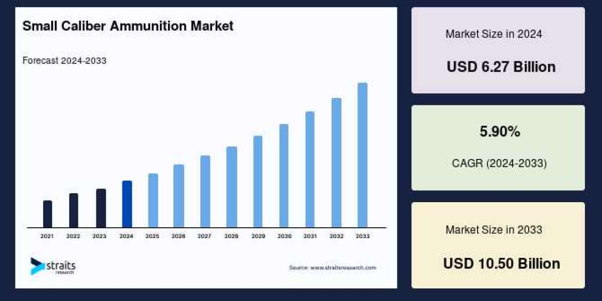 Small Caliber Ammunition Market Demand Soars: Forecast for 2025–2033