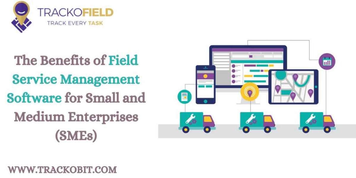 The Benefits of Field Service Management Software for Small and Medium Enterprises (SMEs)