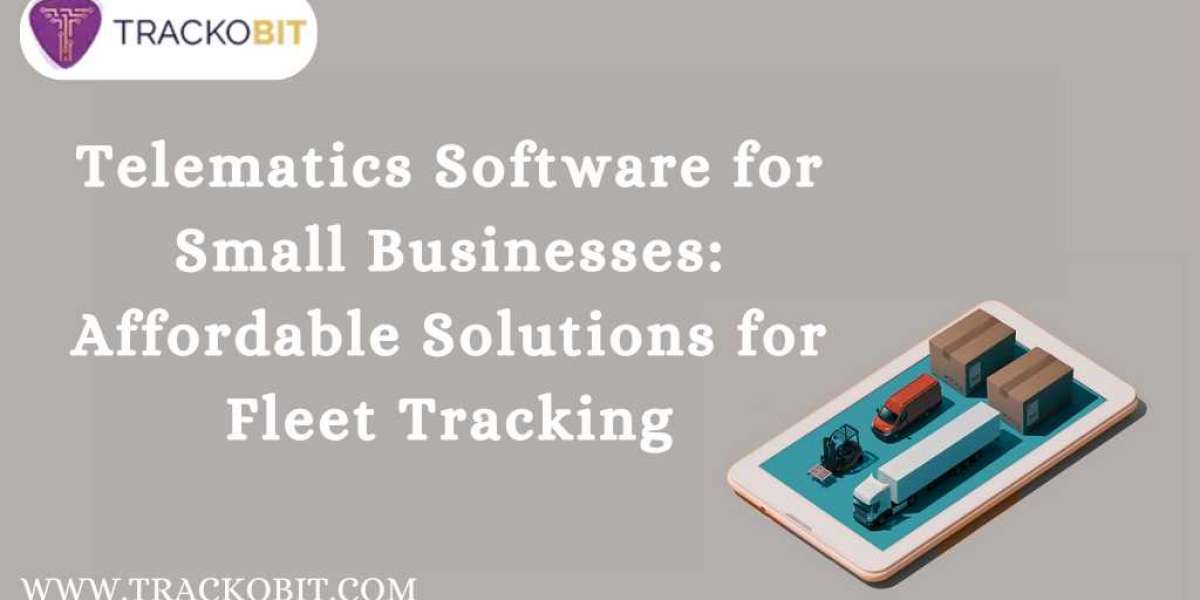 Telematics Software for Small Businesses: Affordable Solutions for Fleet Tracking