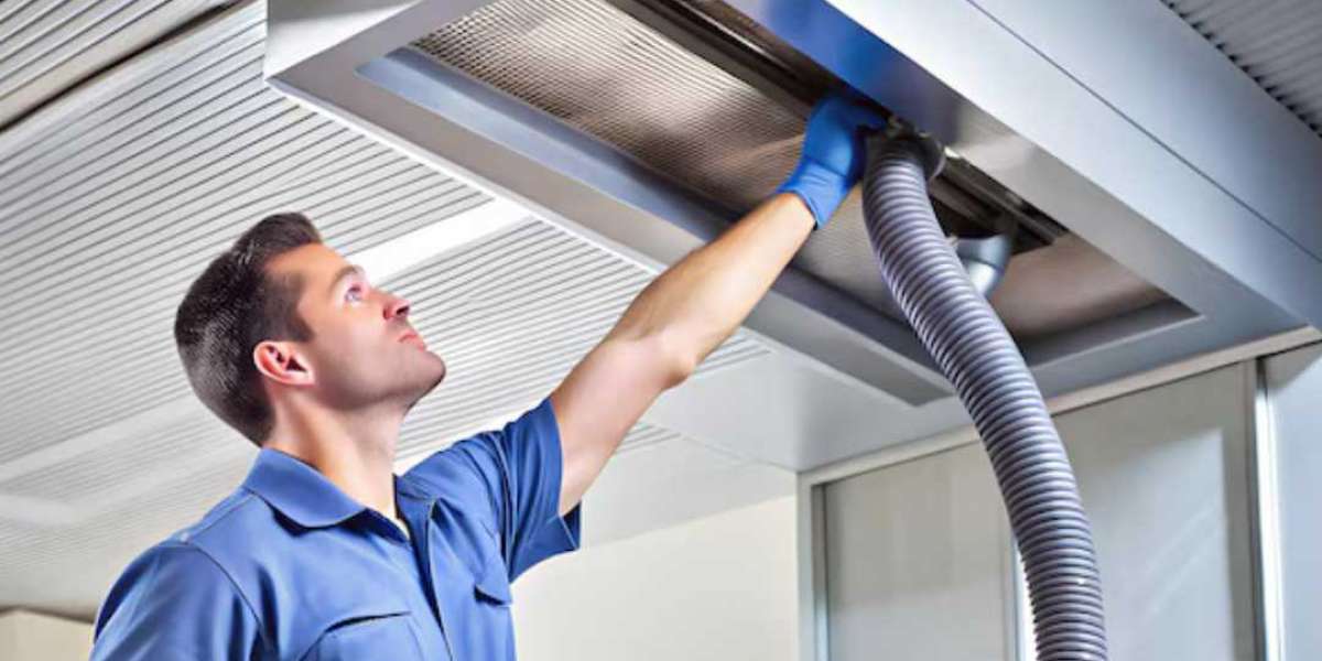 Split AC Cleaning Service