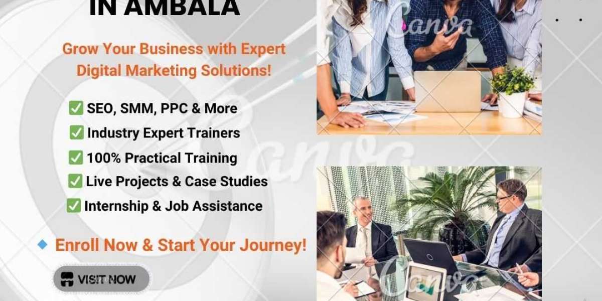 Best Digital Marketing Company in Ambala: Solvage IT Solutions