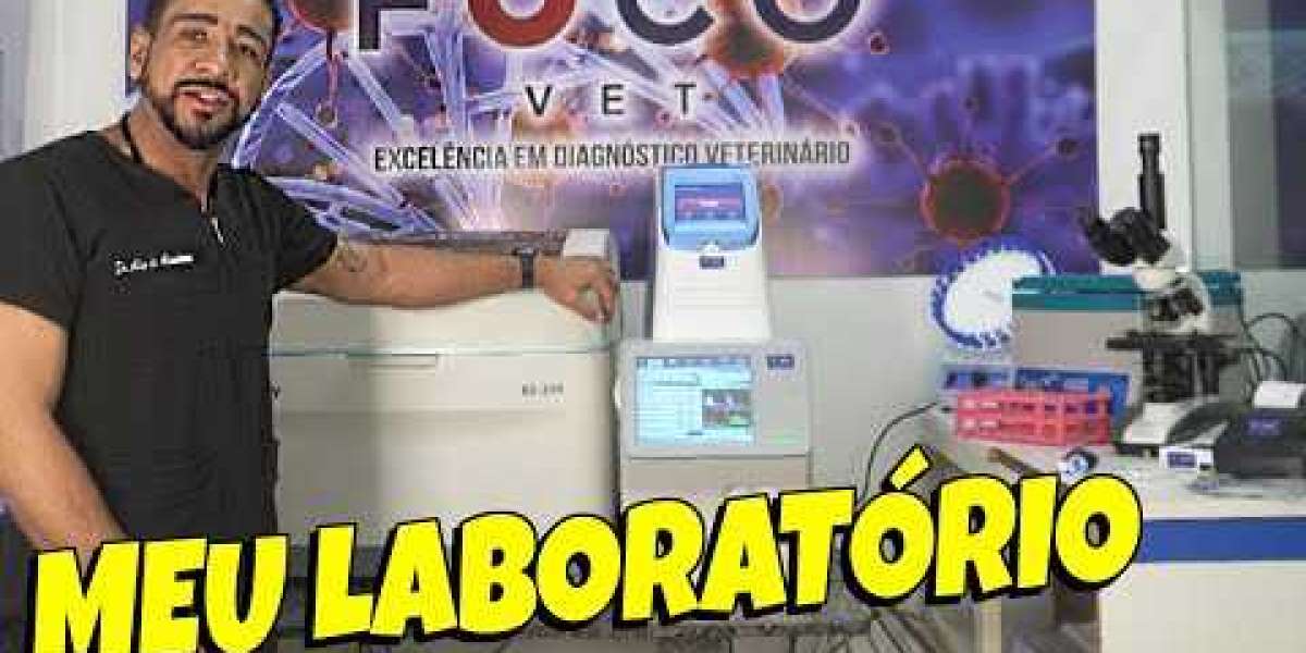 Como Exames de Laboratório Transformam o Cuidado com seu Pet