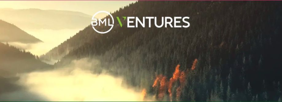 BML Ventures Cover Image