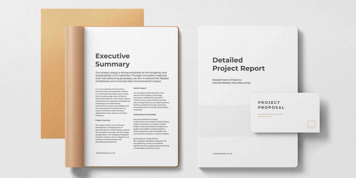 Why You Need the Best Detailed Project Report Online for Business Success