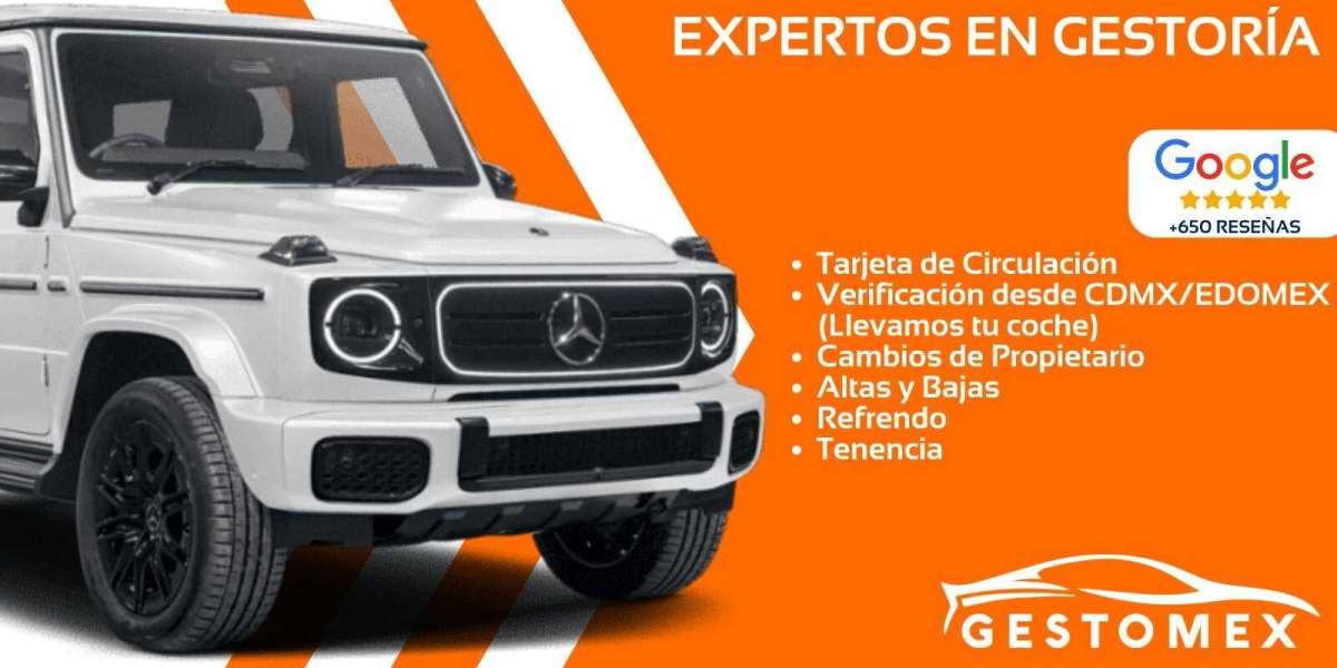 Servicio Exclusivo de Gestoría Vehicular en Morelos para Clientes de Alto Nivel