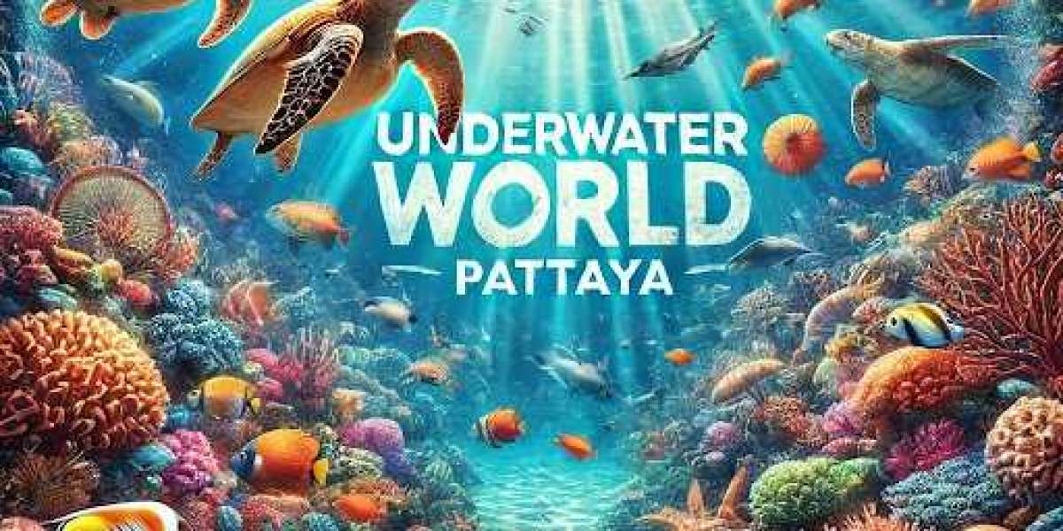 Underwater World Pattaya – Explore Thailand’s Marine Life