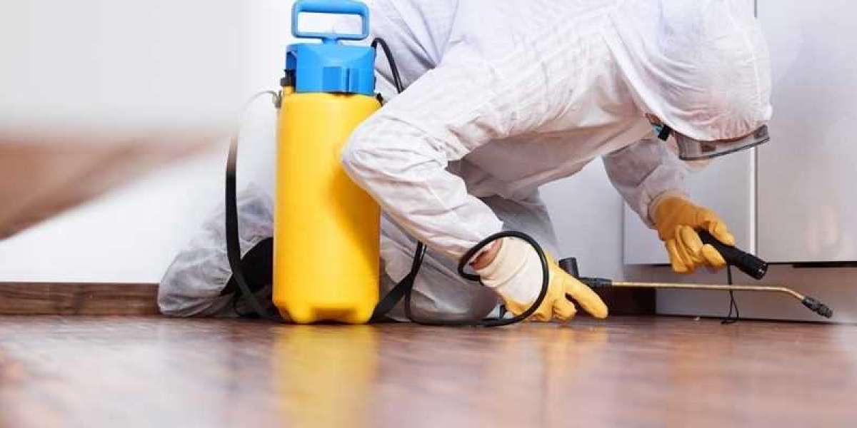 Effective Pest Control Solutions in Landsborough: Protecting Your Home and Health