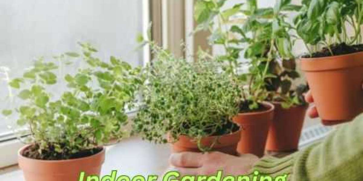 Indoor Gardening Made Easy: Benefits for Your Home and Health