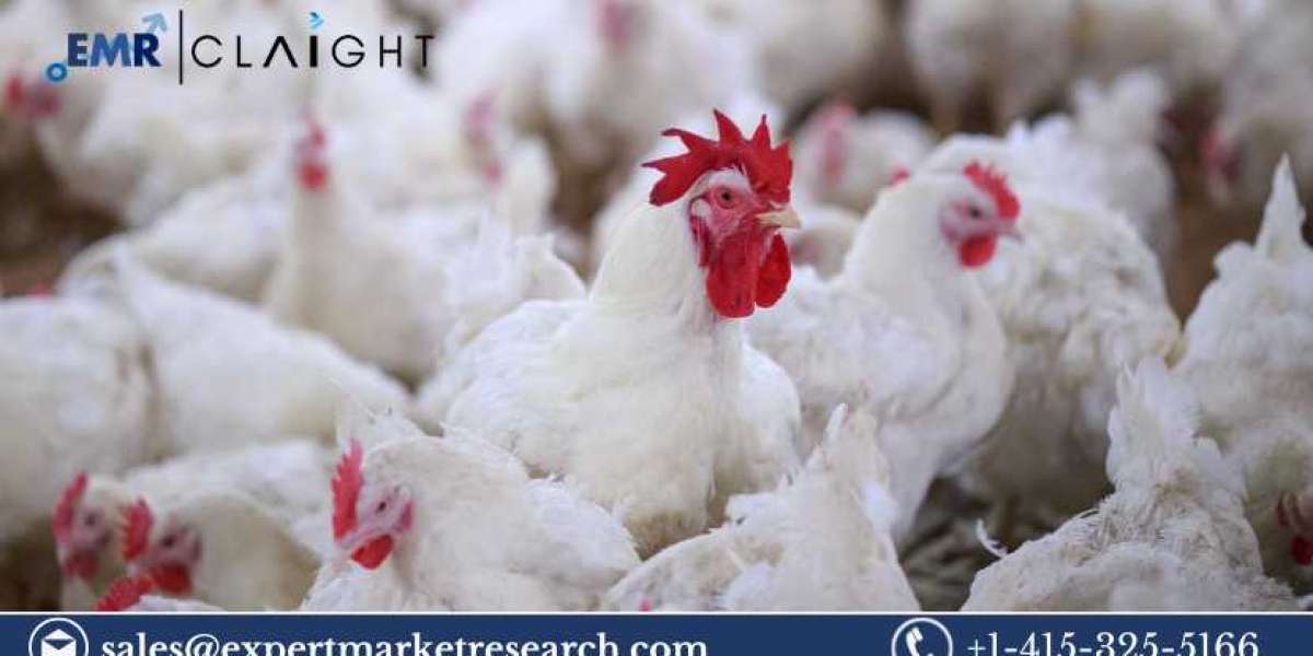 Poultry Market Size, Share & Trends 2025-2034