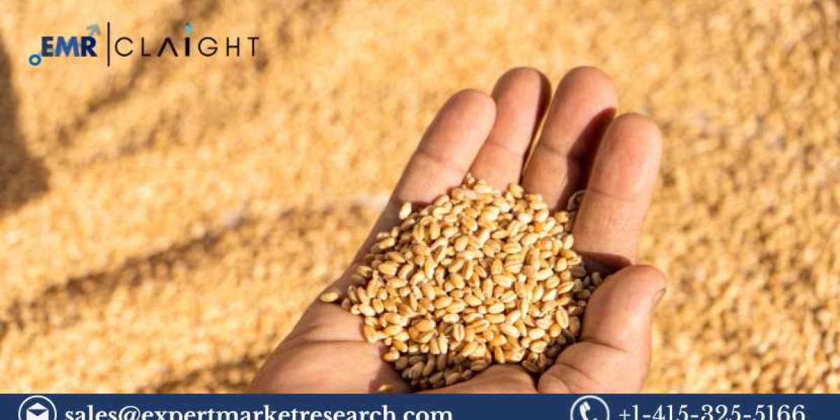 Wheat Protein Market Size, Share & Trends 2025-2034