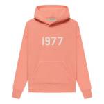 Pink Essentials hoodie Profile Picture