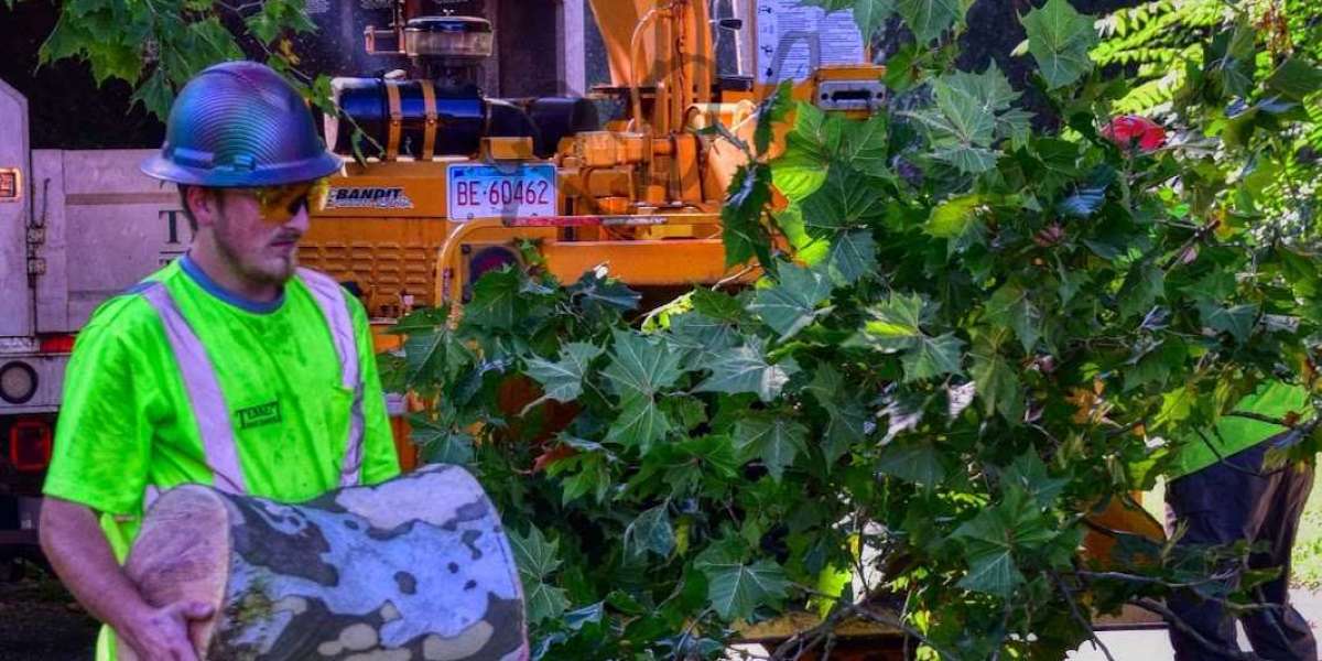 Crane Tree Removal Service in Connecticut – Safe, Efficient & Professional