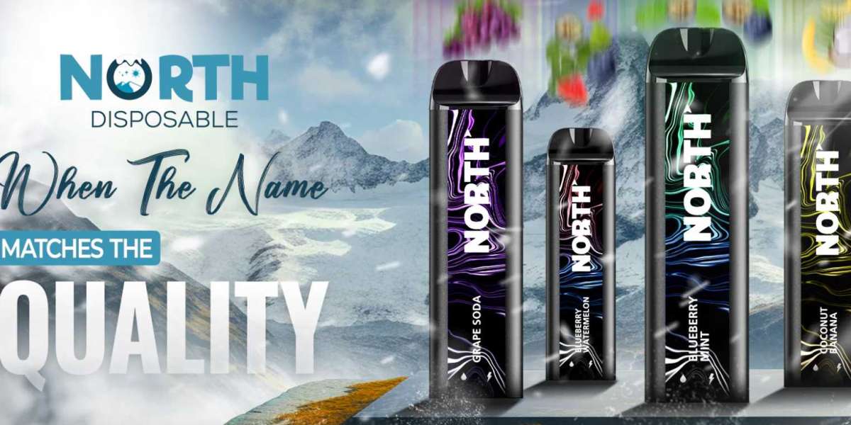 Exploring the Best North Vape Flavors: A Personal Journey