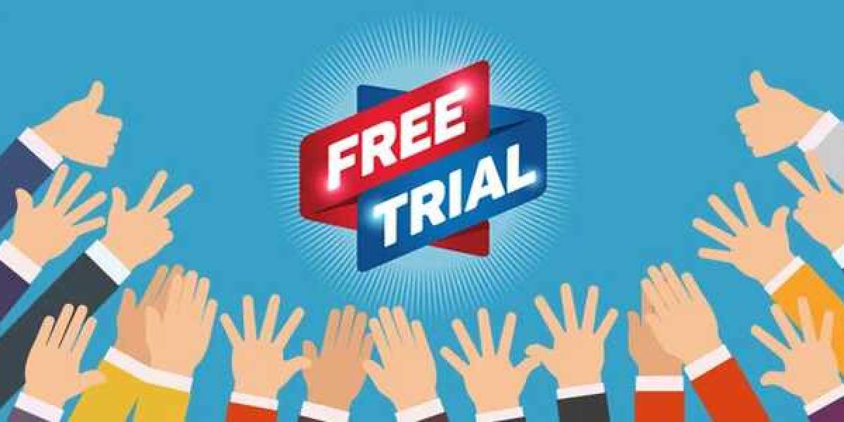 Learn the way To begin Free Trial Seo Services