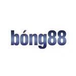 Dailybong888 Com Profile Picture