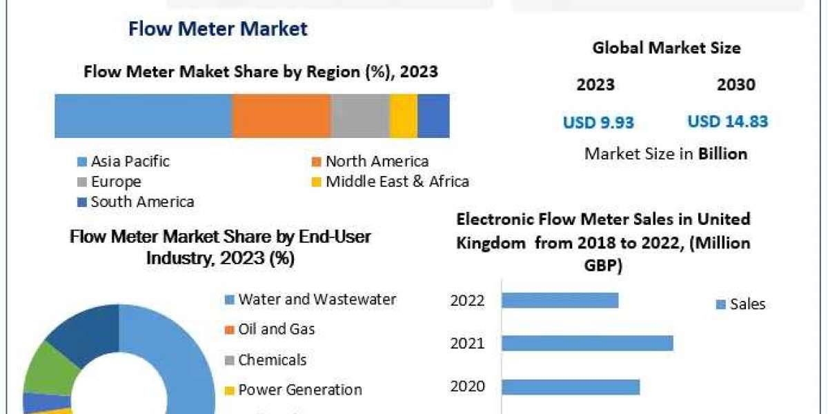 Flow Meter Market Scope: Comprehensive Overview of Market Segments and Trends