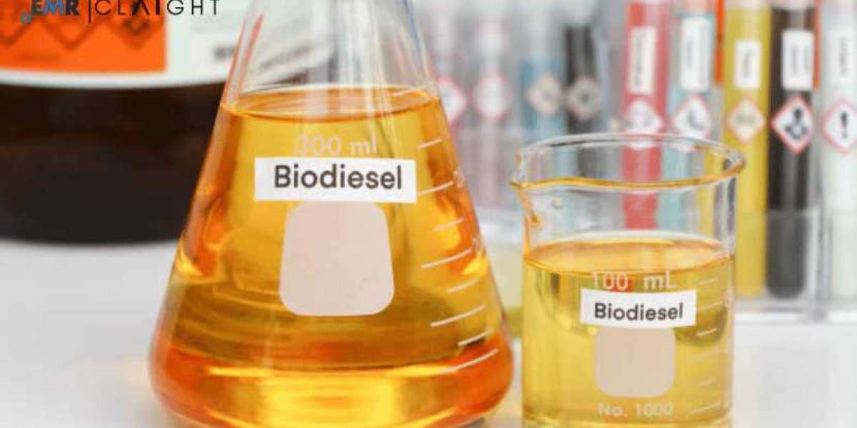 Biodiesel Manufacturing Plant Project Report | Industry Growth & Market Trends