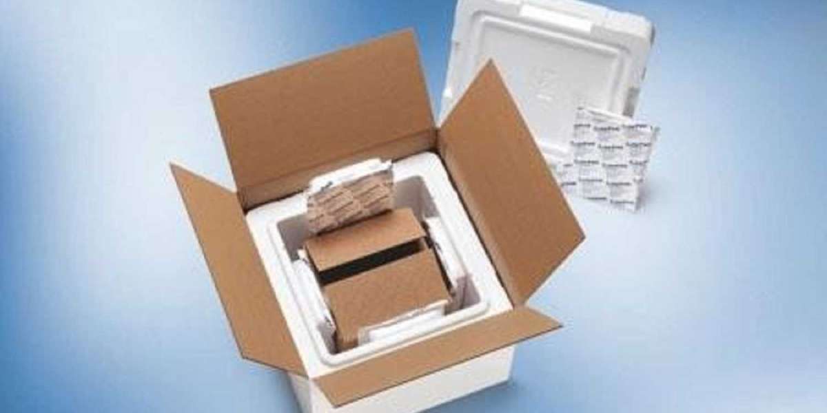 Passive Temperature-Controlled Packaging Market Future, Share 2024-2032