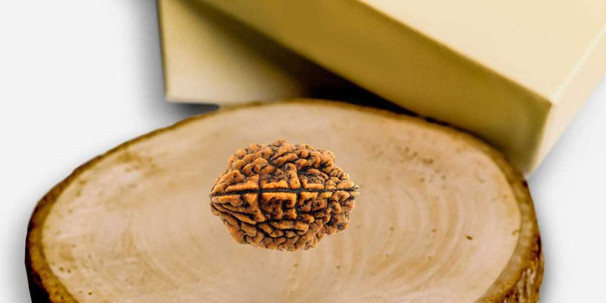 Why 2 Mukhi Rudraksha is a Must-Have for Spiritual Seekers