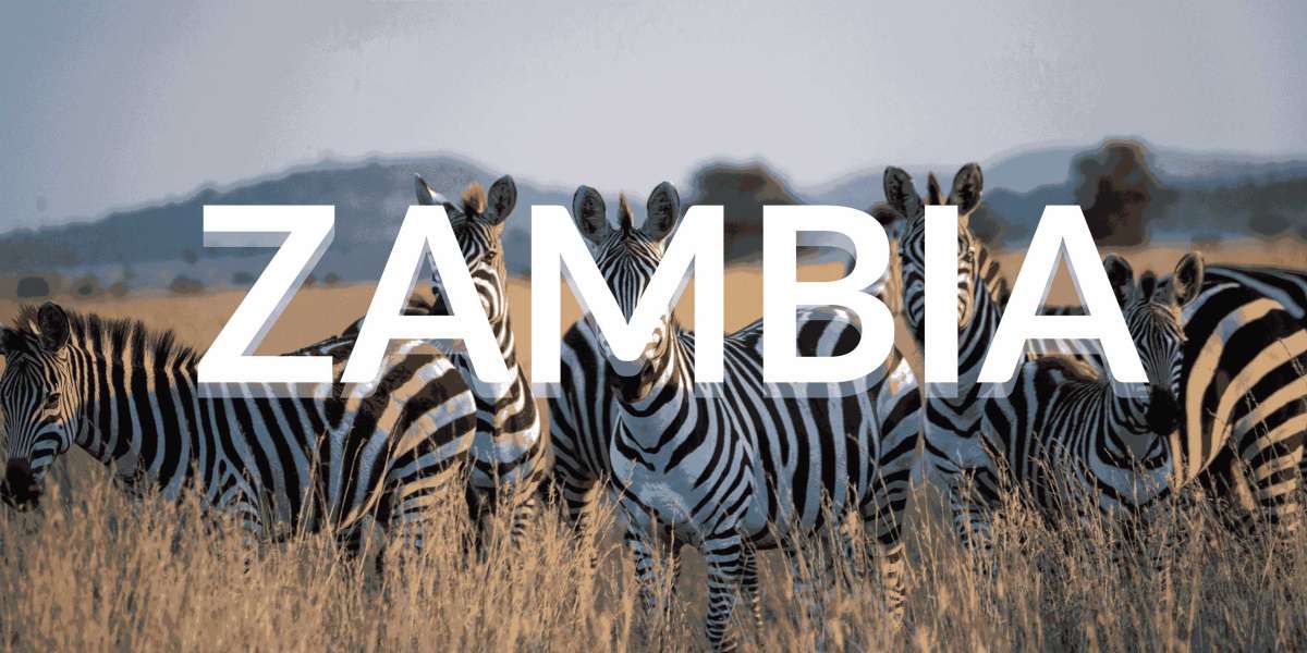 Is It Safe to Travel to Zambia?