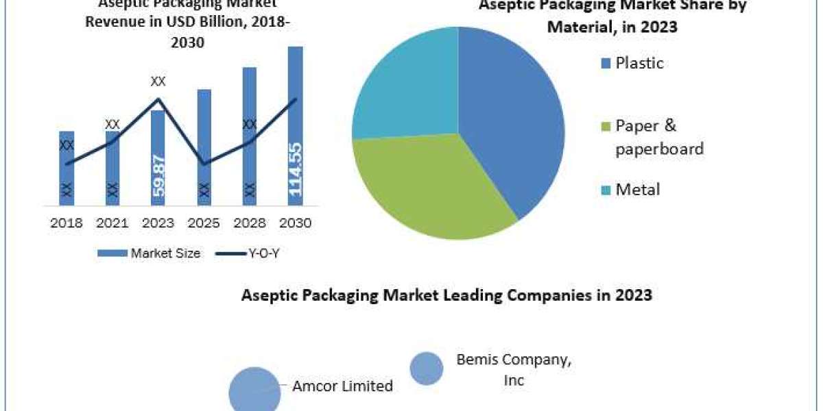 Aseptic Packaging Market Mastery: Size, Share, Revenue, and Worth Statistics Overview  2030