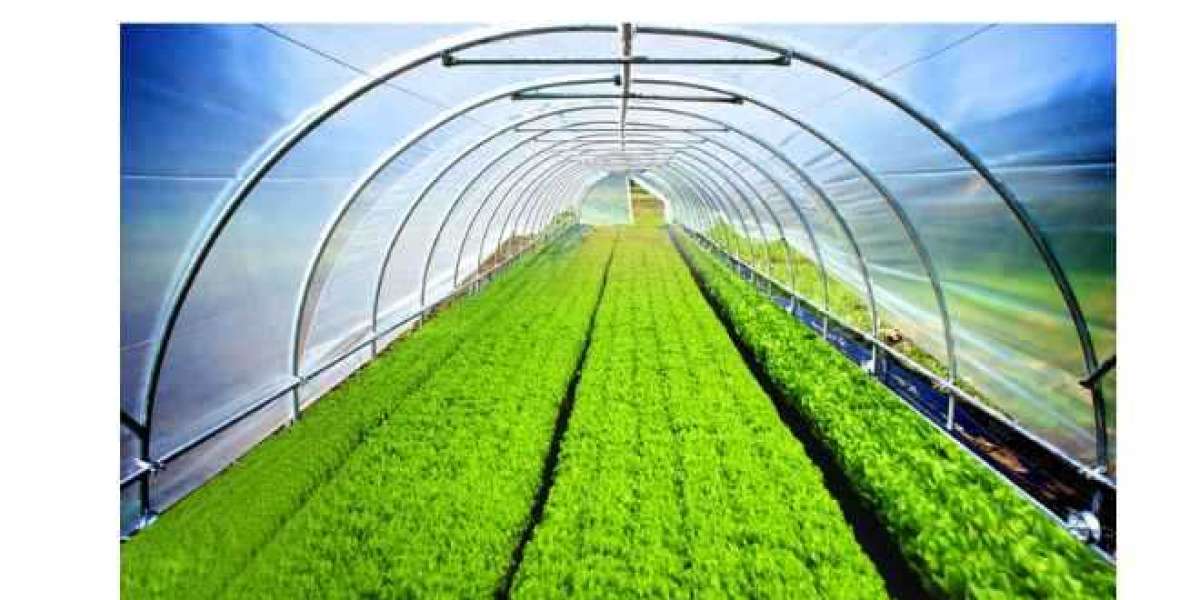 The Ultimate Guide to Greenhouse Film: Benefits, Applications