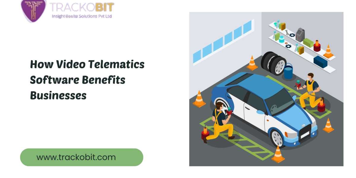 How Video Telematics Software Benefits Businesses