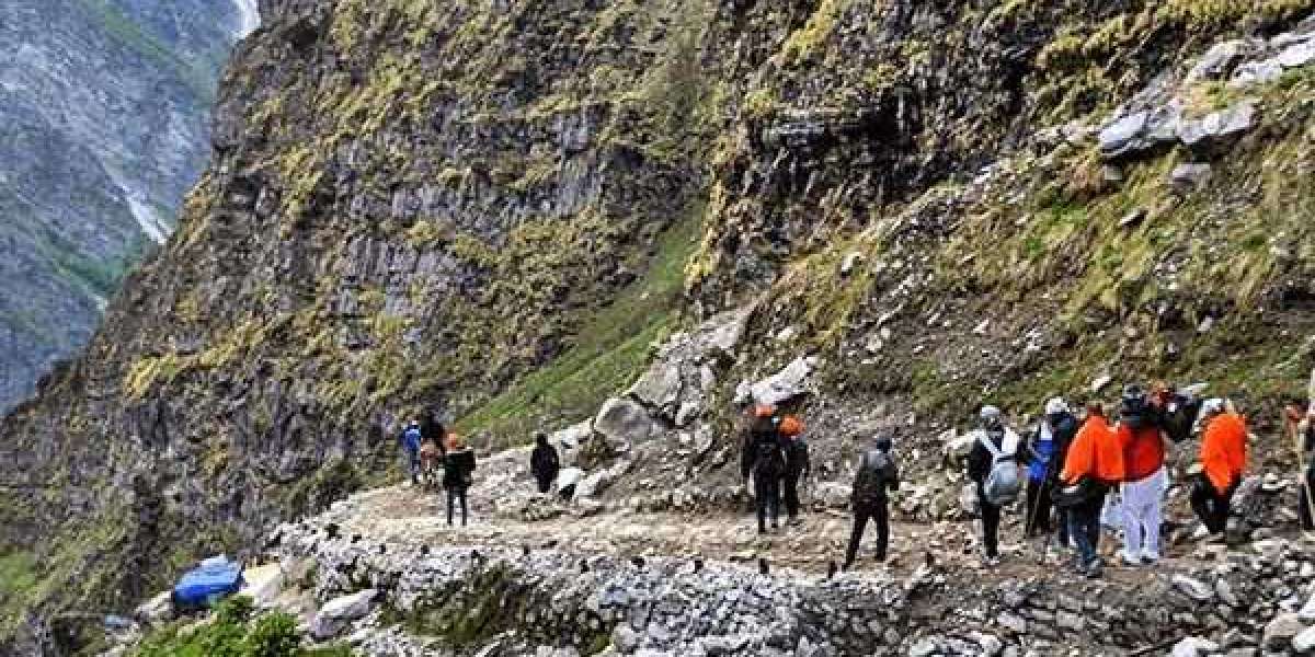 Valley of Flowers Trek in Chamoli, Himalayas with Escape2Explore ✨?