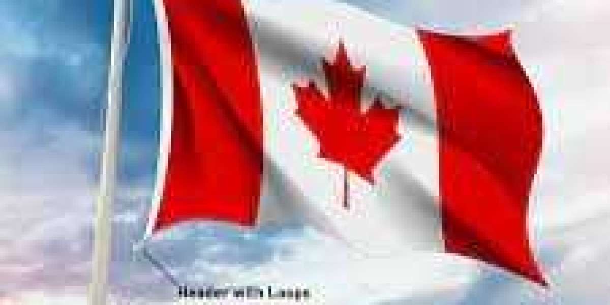 Certified Canadian Immigration Consultant In Dubai