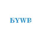 BYWB Bearing Profile Picture