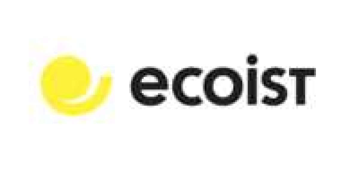 Ecoist Wool Slippers for Women – Soft, Sustainable Comfort