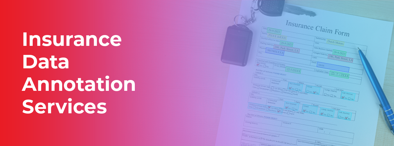 Use of Insurance Data Annotation Services for AI/ML Models -