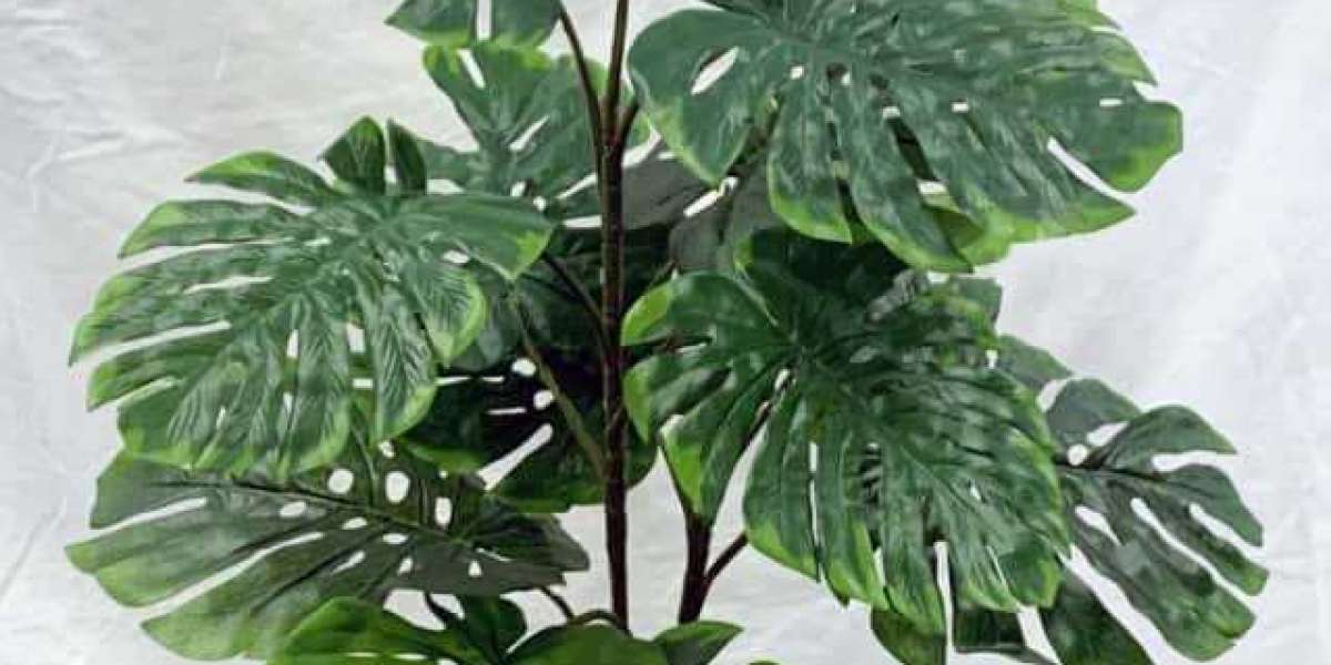 Artificial Plants Canada: Elevate Your Space with Silk Plants Canada