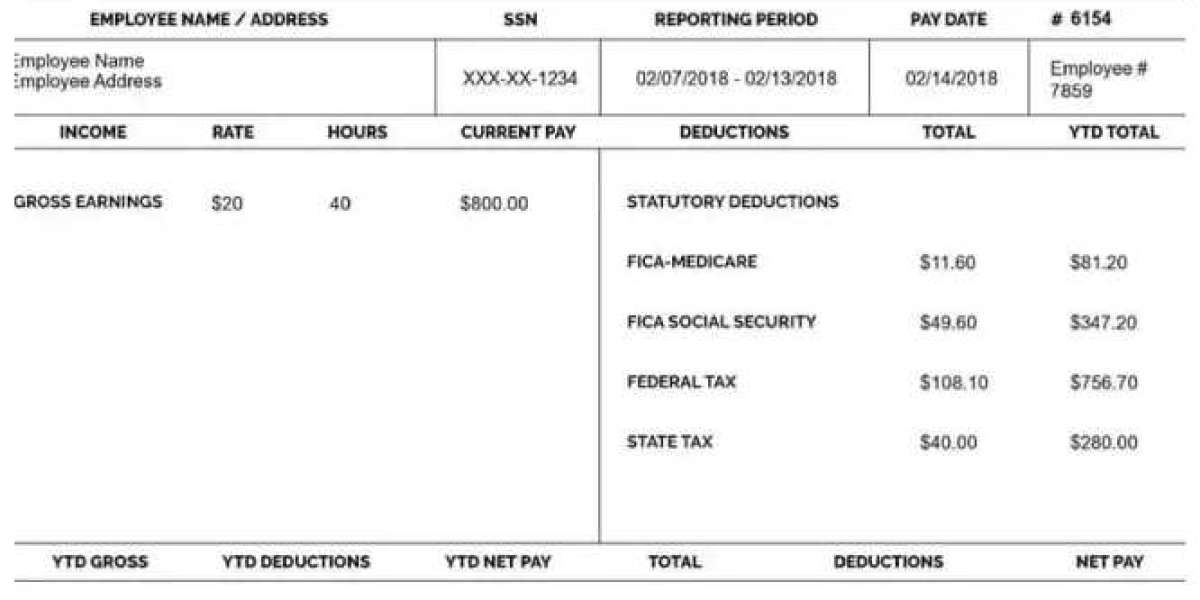 Best Practices for Creating Accurate Paystubs with a Free Generator