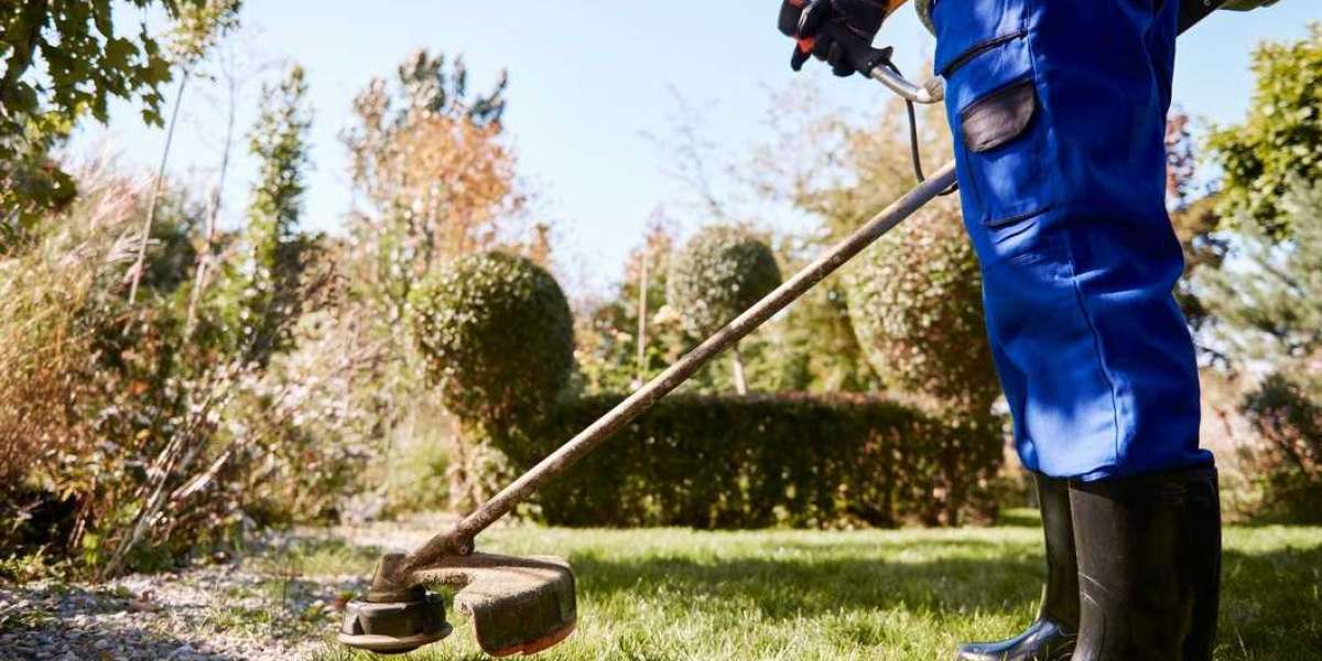 Expert Care For A Beautiful Yard With Local Lawn Maintenance Near Me